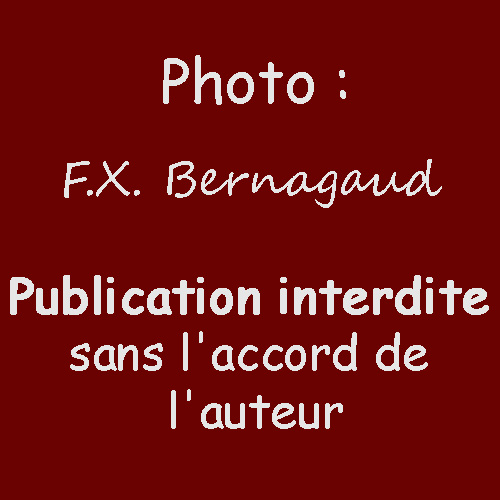 samedi_06023.jpg