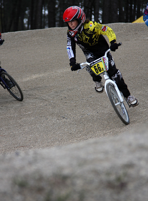 gujan_01334.jpg