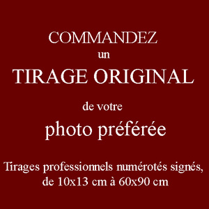 cavignac_02244.jpg