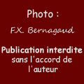 mont_01425.jpg