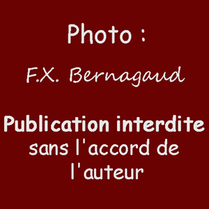 bboheme_04640.jpg